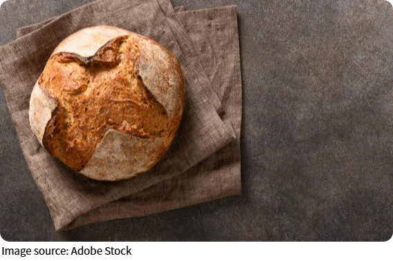 Sourdough's Hidden Science