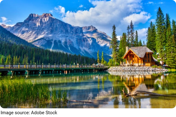 Forest Cabin Retreats