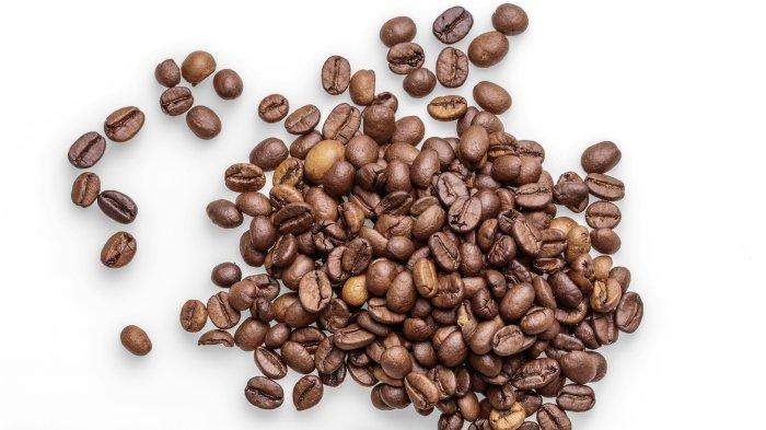 Ilustrasi biji kopi. 