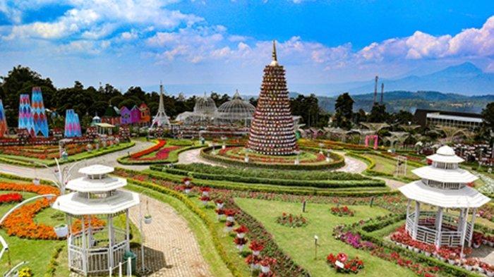 Taman Bunga Celosia, tempat wisata instagramable di Bandungan, Kabupaten Semarang, Jawa Tengah.