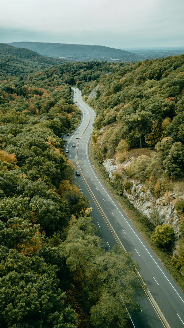 Top U.S. Scenic Road Trips