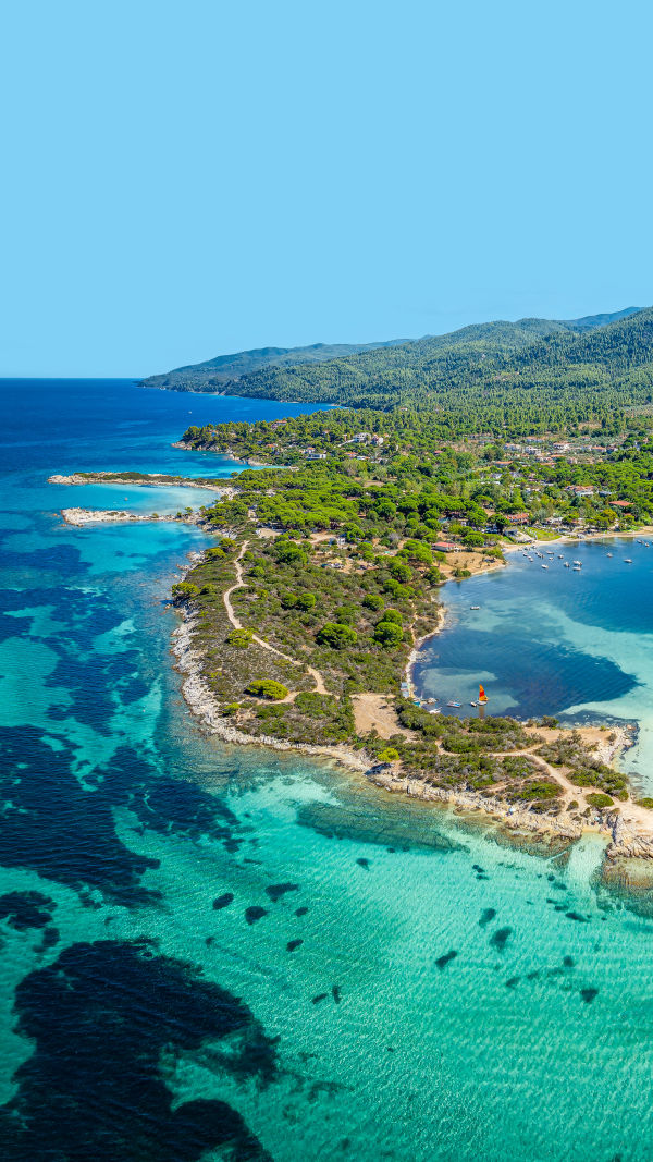 Chalkidiki: Pines Meet Sea
