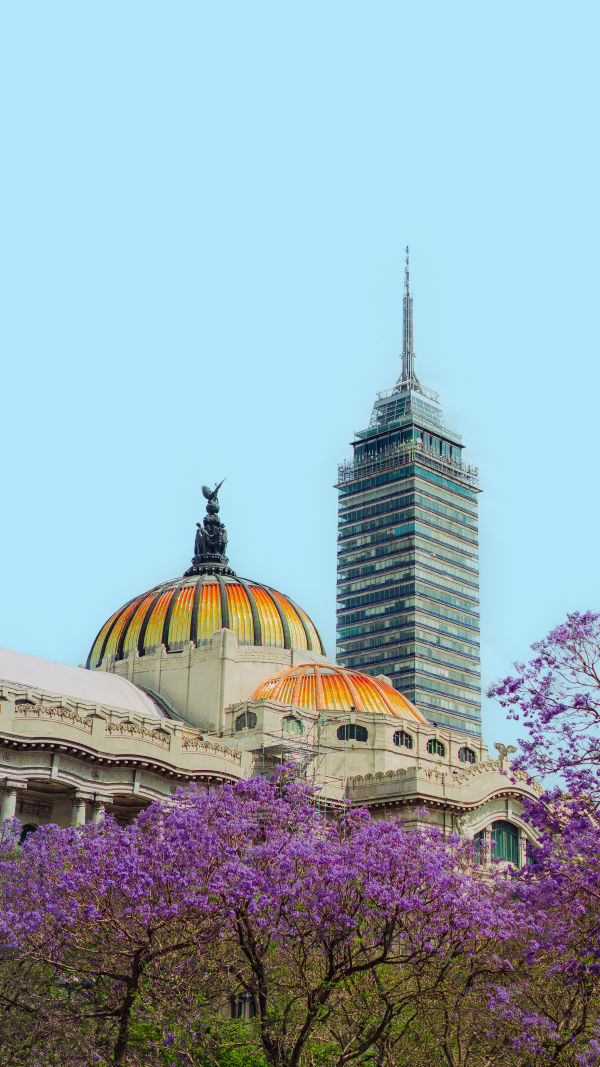 Mexico City Match