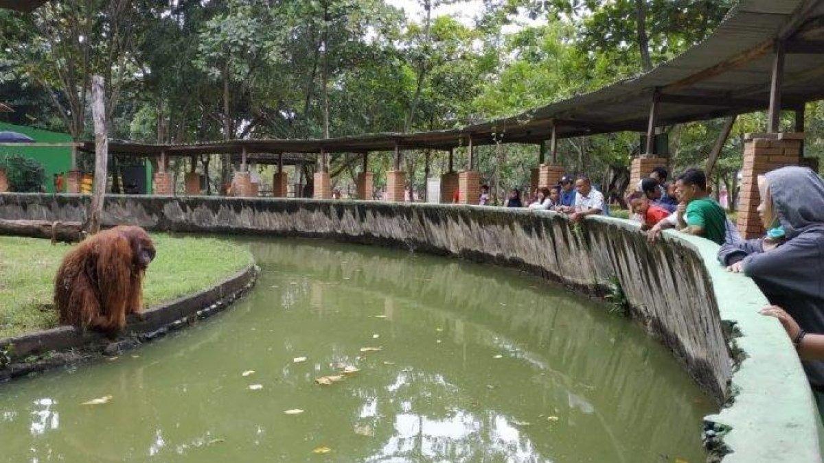 Semarang Zoo, rekomendasi tempat wisata ramah keluarga di Semarang.