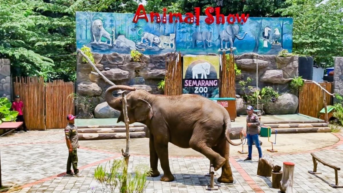Semarang Zoo, tempat wisata ramah keluarga di Semarang, Jawa Tengah untuk liburan akhir pekan.