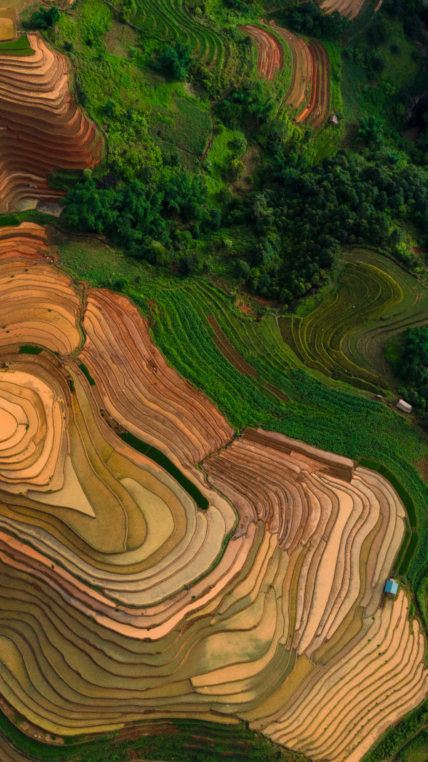 Mu Cang Chai