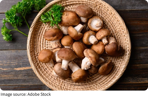 Mushroom Tart Delight