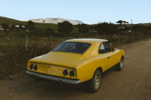 Vintage Value Drivers