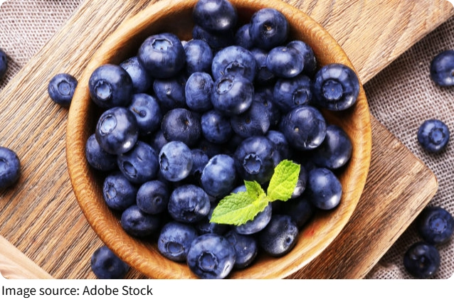 Blueberry Cake