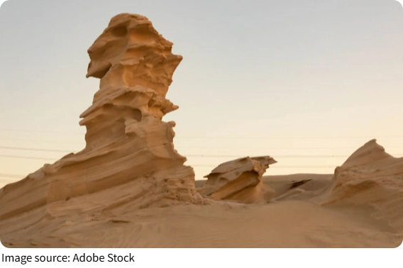 Desert Fossil Wonder