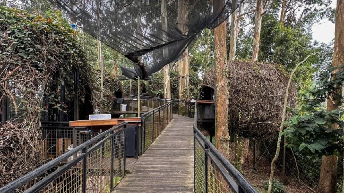 Cari tempat wisata sejuk di Bandung? Dusun Bambu Lembang menawarkan kuliner, wahana bermain, dan penginapan dengan suasana alam yang menenangkan.