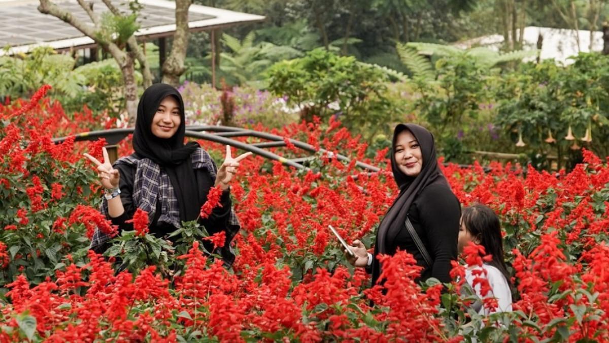 HARGA TIKET -  Dusun Bambu Lembang 2026 menarik perhatian wisatawan karena ada banyak aktivitas seru untuk anak hingga orang dewasa.