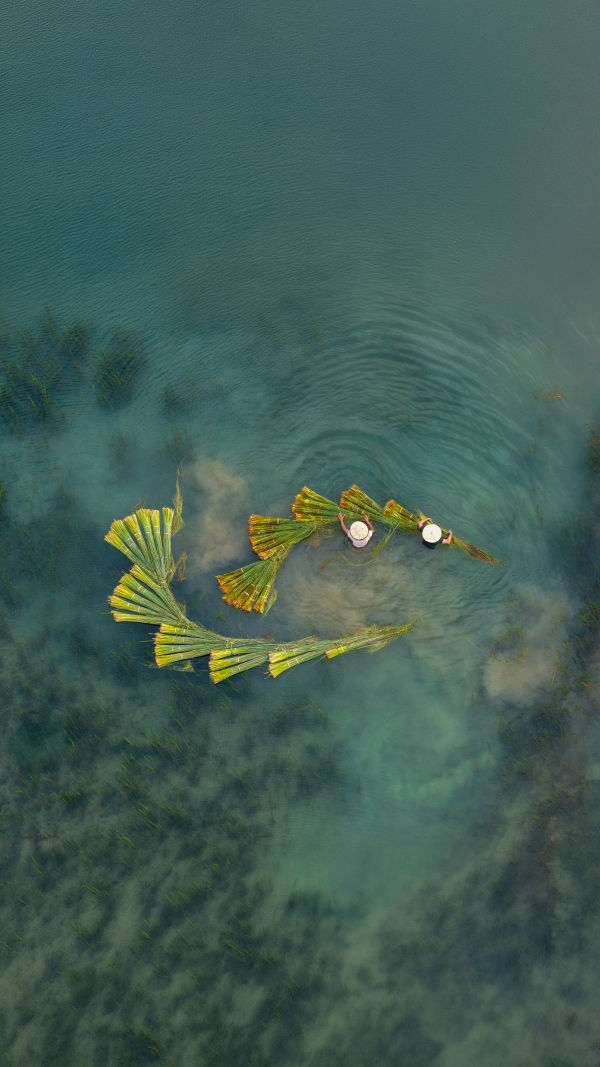Life Along the River