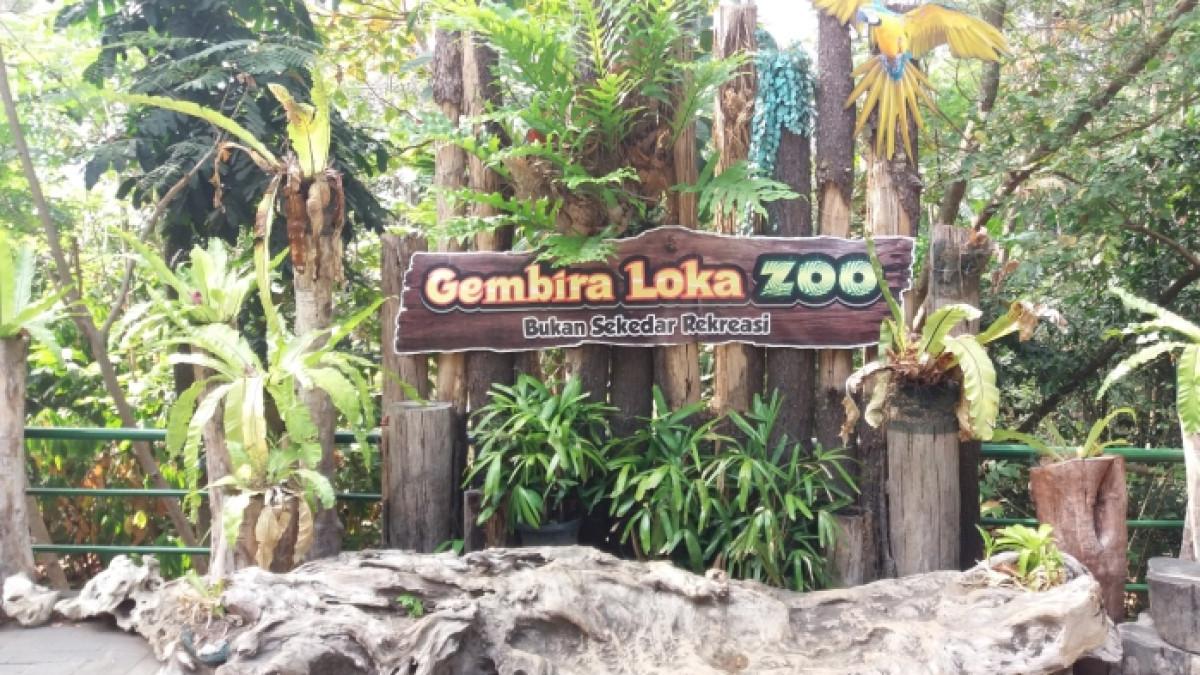 Gembira Loka Zoo Jogja masih jadi destinasi favorit untuk liburan keluarga di Mei 2026.