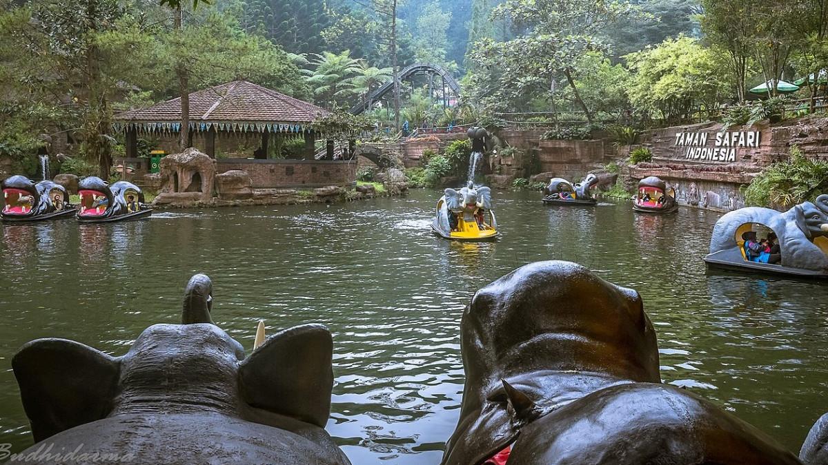 Perjalanan ke Taman Safari Bogor kini makin mudah, cek rute transportasi umum dan harga tiket terbaru.