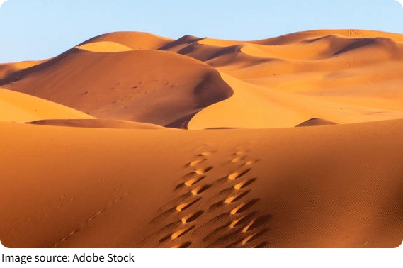 Surga Gurun Sahara