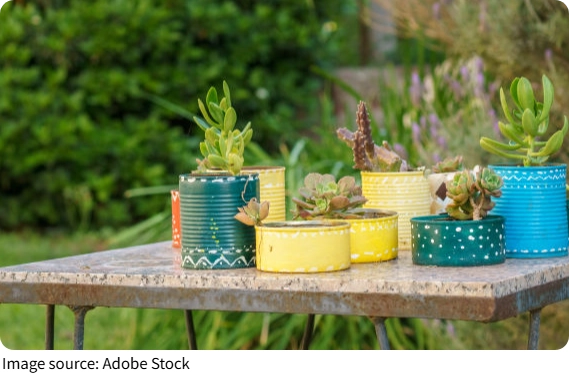 Plantas Perfectas