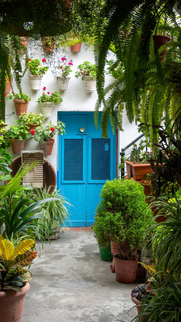 Mały patio andaluzyjski