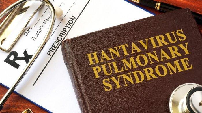 Hantavirus Pulmonary Syndrome (HPS) disebarkan oleh tikus, dan sangat jarang dari orang ke orang