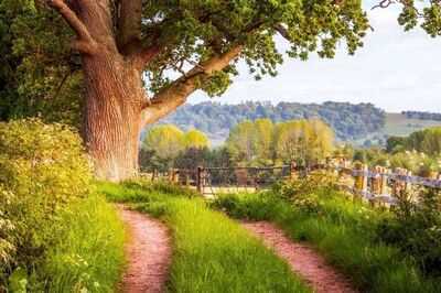 Load failed