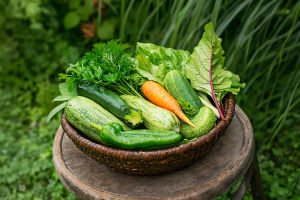 Stop Wasting Fresh Produce