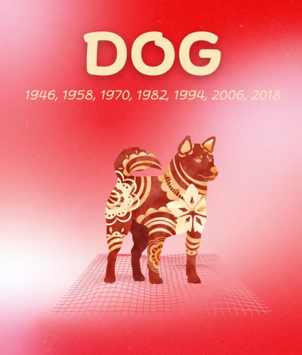 dog chinese zodiac signs everything falls place may 11 - 17, 2026