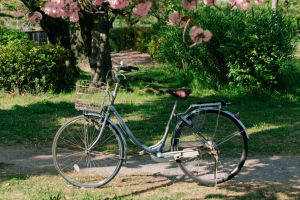 Cycling for Better Health