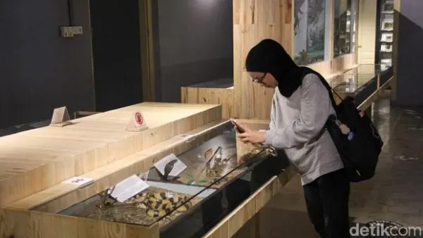 Museum Zoologi di kawasan Museum Zoologi Bogor menjadi salah satu destinasi wisata edukasi favorit bagi masyarakat. Sejumlah pengunjung tampak melihat serta memperhatikan koleksi satwa yang dipamerkan di berbagai ruang display museum tersebut.