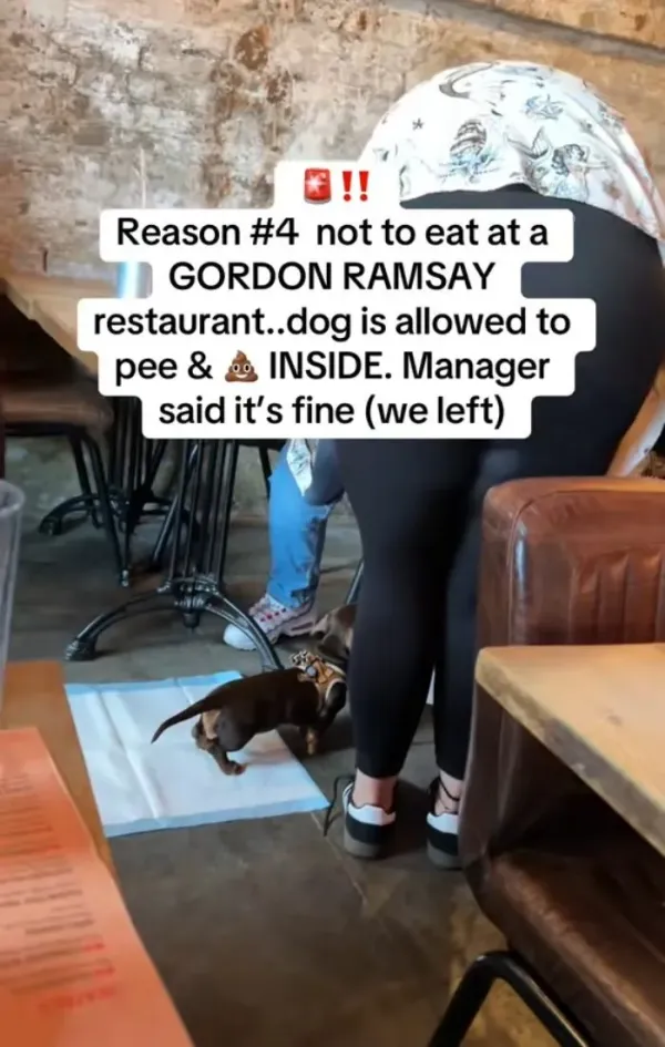 Restoran Gordon Ramsay Disebut Menjijikkan, Ternyata Gegara Hal Ini