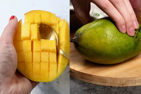 how to detect if ripe mangoes are artificially ripened