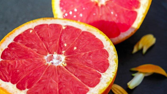 Ilustrasi grapefruit atau jeruk bali merah