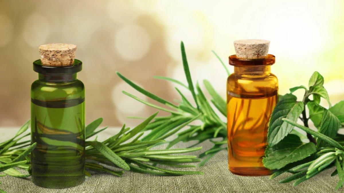 Tea tree oil