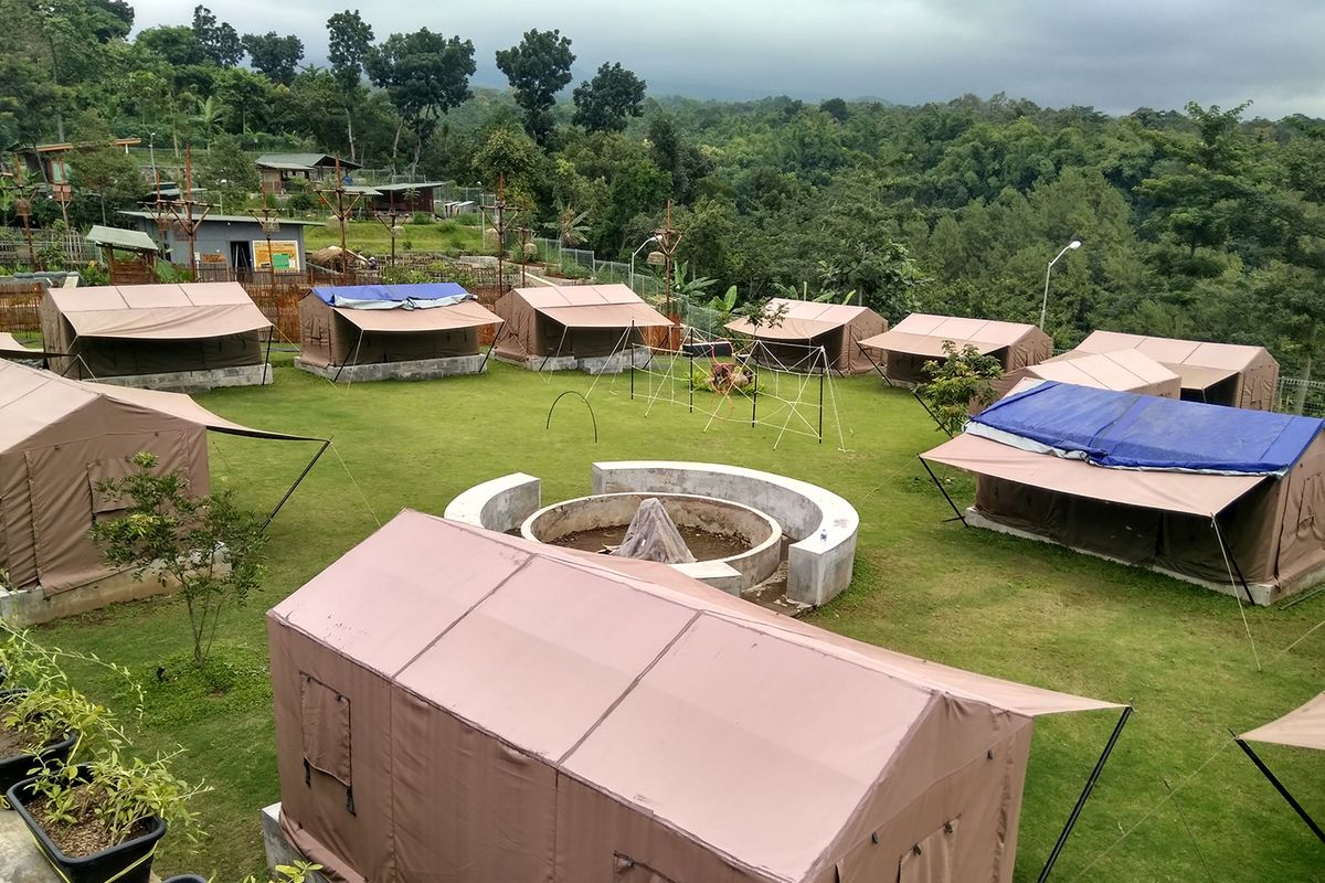 Kebun Pak Budi, Jember, Jawa Timur