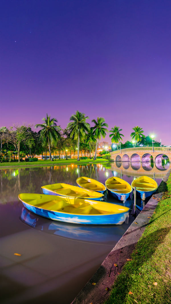 Green Hearts of Bangkok