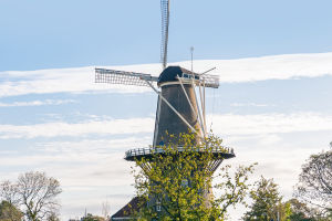 Leiden: Canals & Curiosities