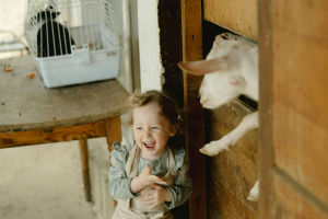 Animal Growth Story