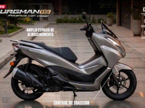 Suzuki Burgman 15