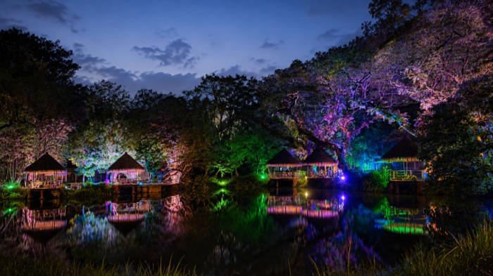 Magical Jungle Solo Safari yang menjadi daya tarik baru wisata malam di Kota Solo