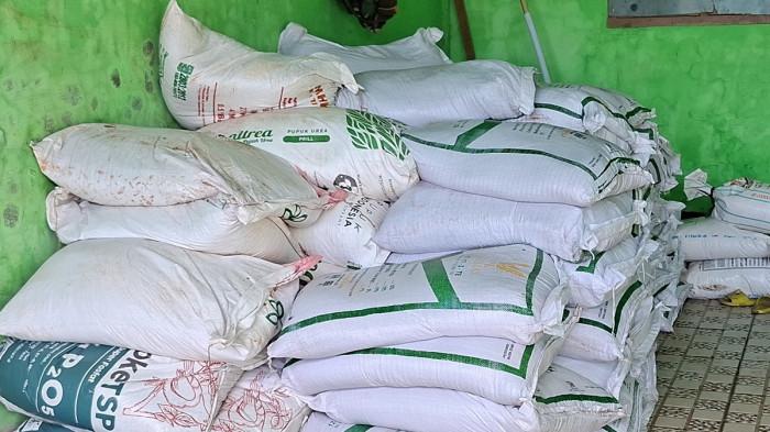 PUPUK NAIK: Harga pupuk sawit dan herbisida mengalami kenaikan signifikan di Kabupaten Aceh Singkil, Jumat (22/5/2026).