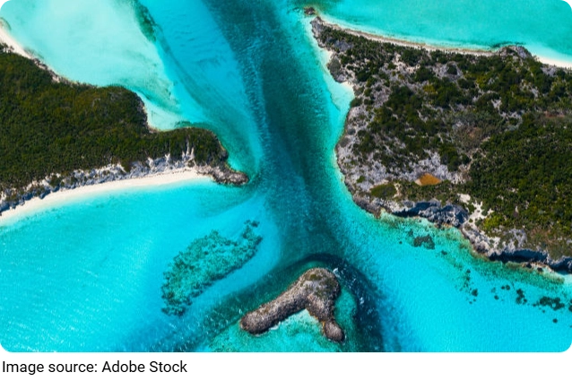 Sand, Sea, and Slow Food