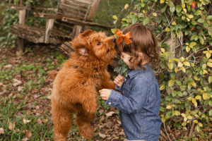 Pet Care Growth