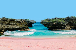 Pesona Keluarga di Sumba
