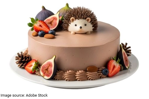 Easy Hedgehog Cake
