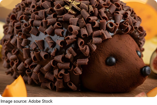 Easy Hedgehog Cake