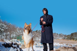 Dog Trail Adventure Kit