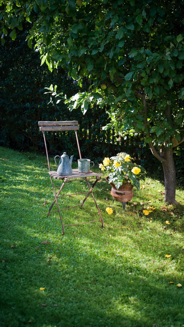 Green Garden Starter Guide