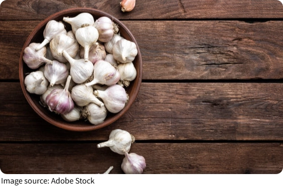 Garlic Storage Tips