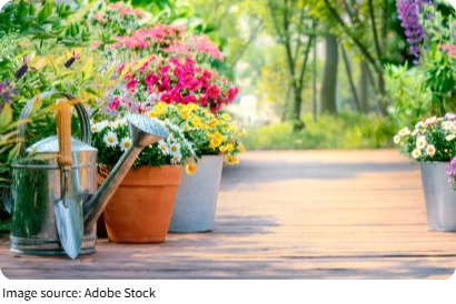 Garden Tool Essentials