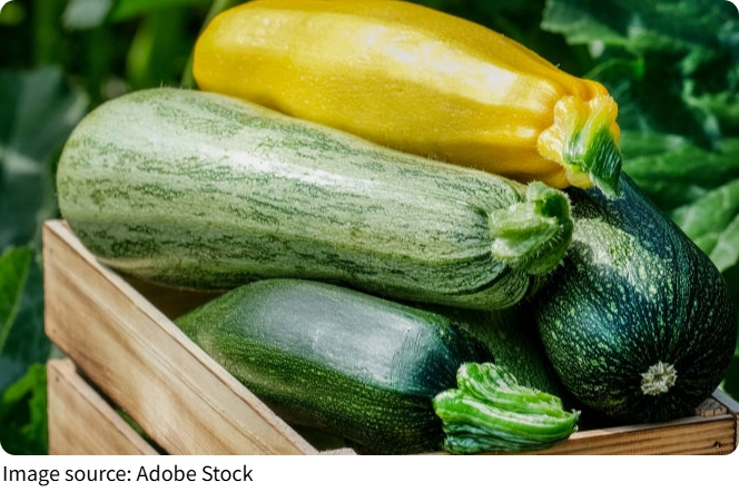 Courgette Couscous