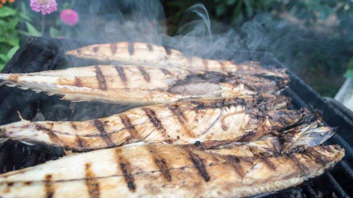 Ilustrasi ikan bakar untuk makan malam